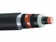 АПВПУ2г 1х300 50-10