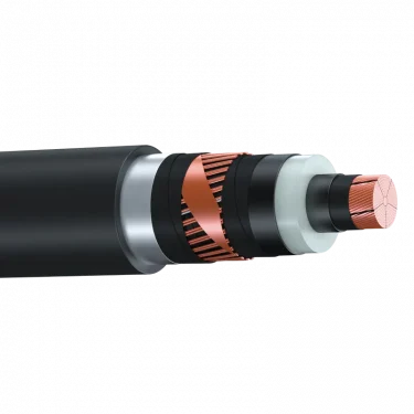 АПВПУ2г 1х300 50-10